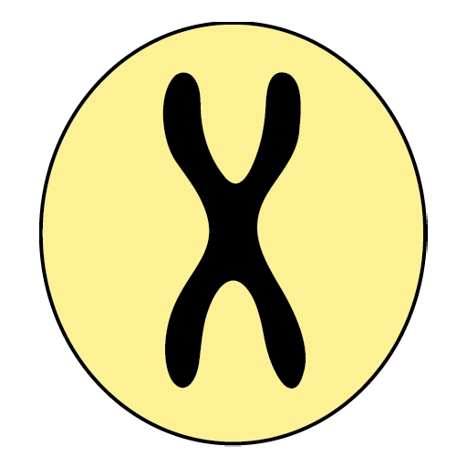 Mini Logo